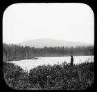 Bog Pond